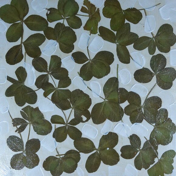 Original Painting by Artist Rachael Potter MADE WITH REAL 4 AND 5 LEAF CLOVERS!!